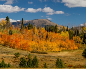 colorado rocky mountains in fall mobile